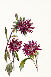 Similar image 1654121