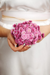 Similar image 1654154