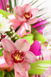 Similar image 1654157