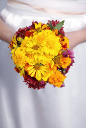 Similar image 1654161