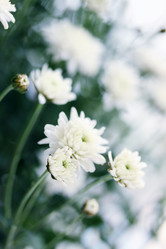 Similar image 1654164