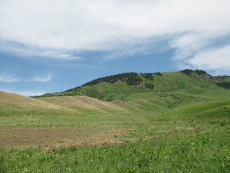 Similar image 1654188