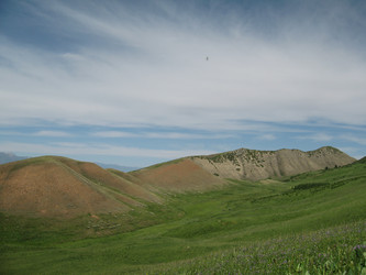 Similar image 1654189