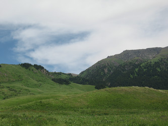 Similar image 1654191