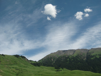 Similar image 1654209