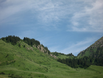 Similar image 1654210