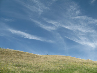 Similar image 1654211