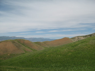 Similar image 1654212