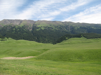 Similar image 1654213