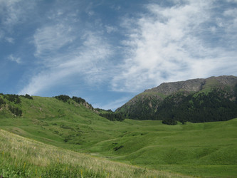 Similar image 1654214