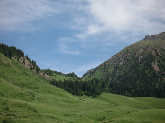 Similar image 1654215