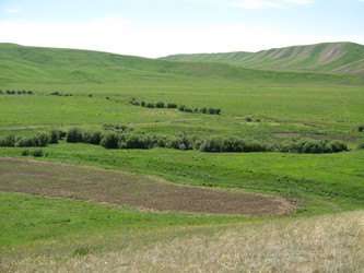 Similar image 1654216