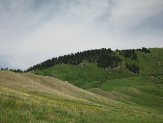 Similar image 1654220