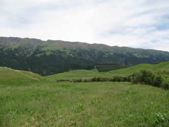 Similar image 1654221