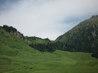 Similar image 1654223