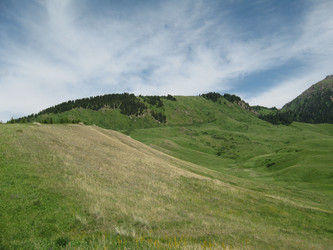 Similar image 1654224