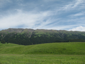 Similar image 1654225