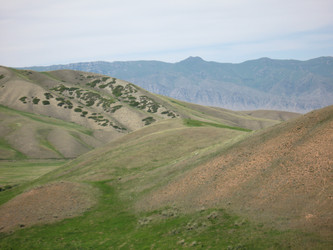 Similar image 1654226