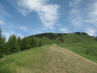 Similar image 1654227