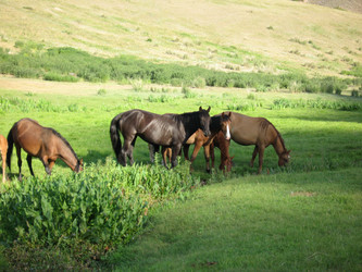 Similar image 1654230