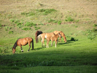 Similar image 1654234