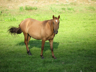 Similar image 1654237