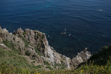 Similar image 1654327