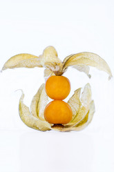 Similar image 1654429