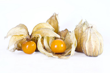 Similar image 1654431