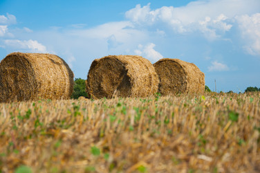 Similar image 1654434