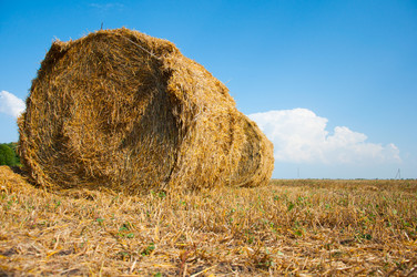 Similar image 1654435