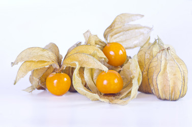 Similar image 1654444