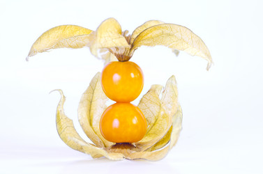 Similar image 1654445