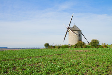 Similar image 1654537