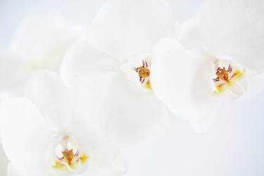 Similar image 1654543