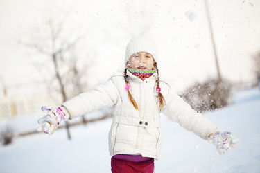 Similar image 1654547