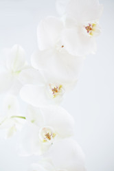 Similar image 1654552