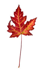 Similar image 1654613