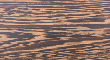 Similar image 1654639