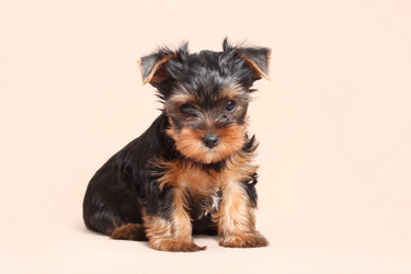 Similar image 1654686