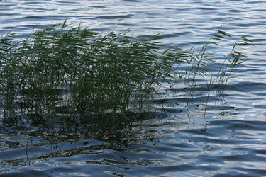 Similar image 1654746