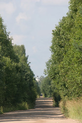 Similar image 1654749