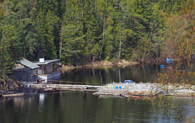 Similar image 1654780