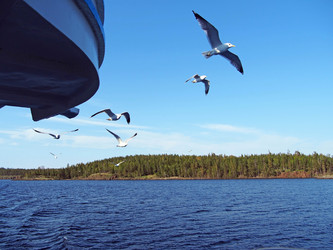 Similar image 1654781