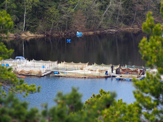 Similar image 1654782