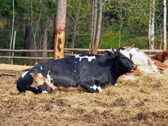 Similar image 1654783