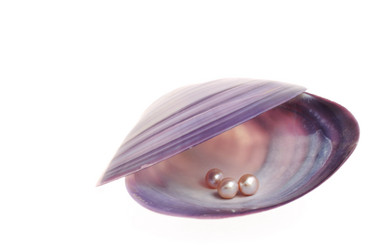 Similar image 1654890