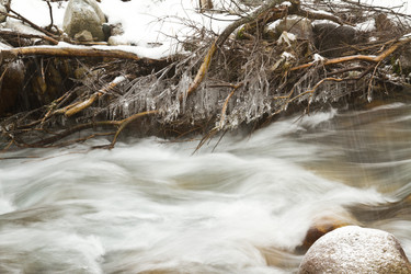 Similar image 1654915