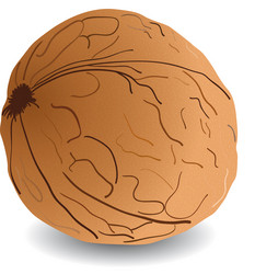 Similar image 1654939