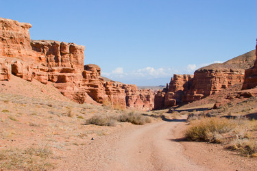 Similar image 1654941